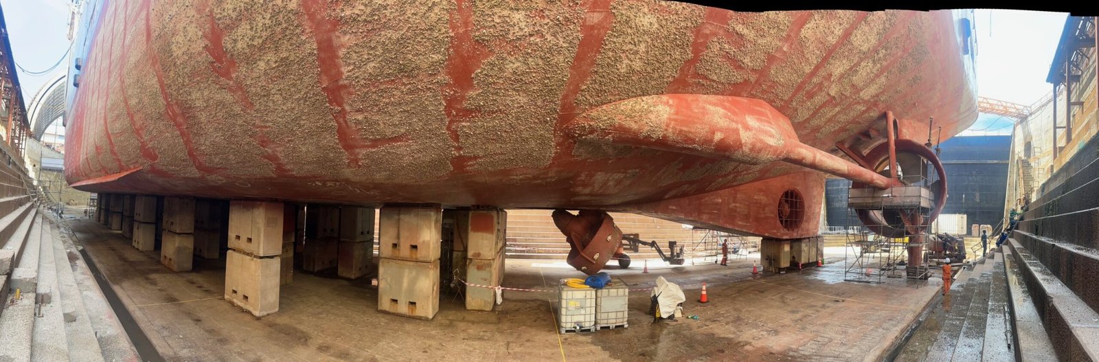 img 9973 min scaled.jpeg